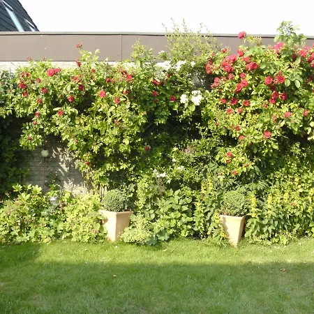 Haus Mit Lilie Und Rose Apartment Westerdeichstrich Exterior photo