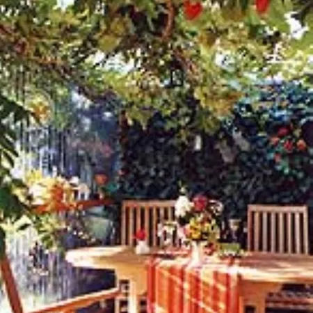 Haus Mit Lilie Und Rose Apartment Westerdeichstrich Exterior photo