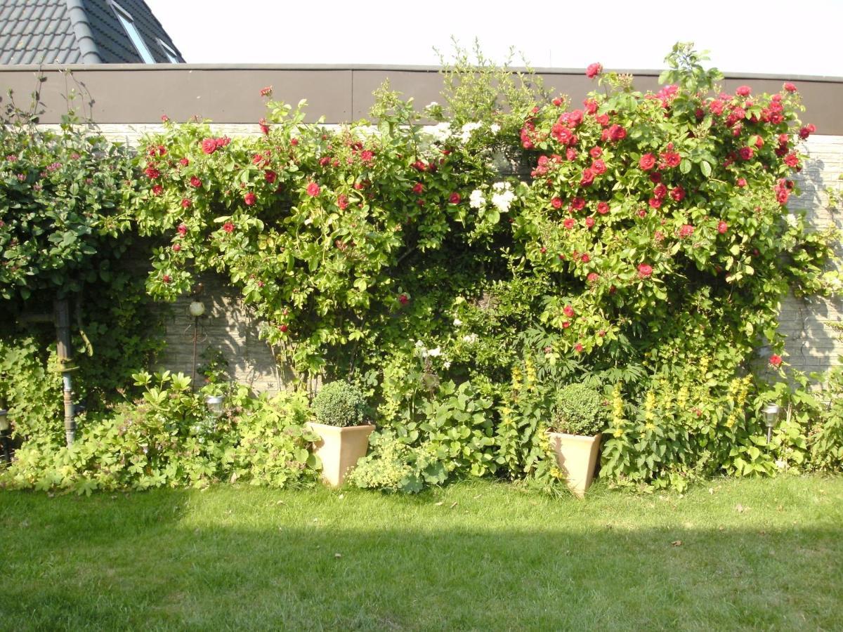 Apartment Haus Mit Lilie Und Rose *